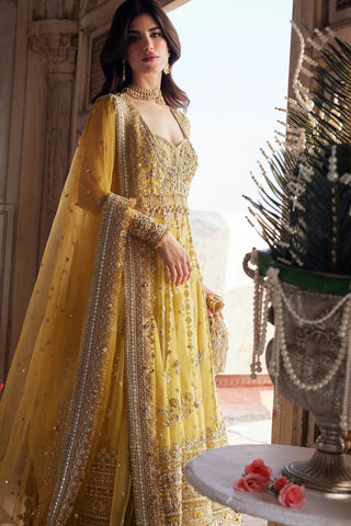 Nxd-ZAHA- SURAJMUKHI (ZC25-02)
