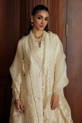 Saad Bin Shahzad - LIZA