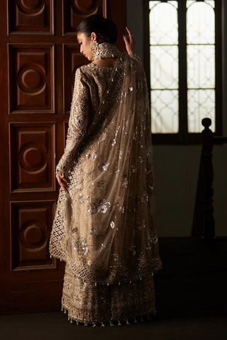 Saad Bin Shahzad - ZELY