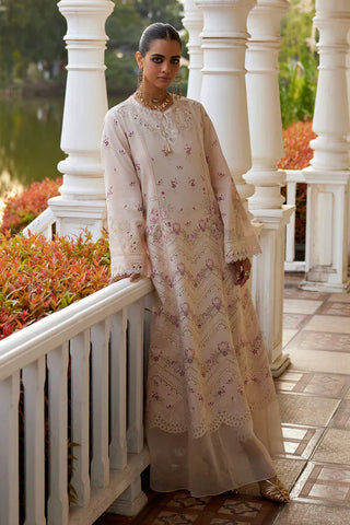 Saad Bin Shahzad - MELINA