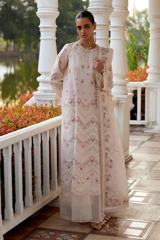 Saad Bin Shahzad - MELINA