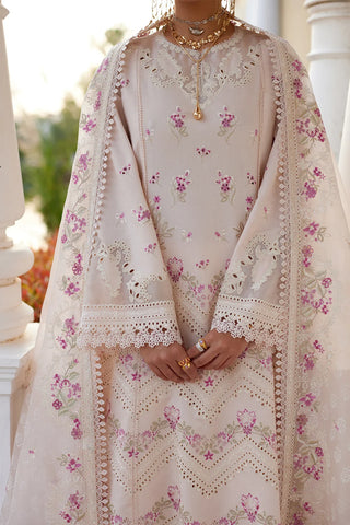 Saad Bin Shahzad - MELINA