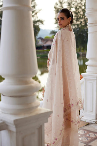 Saad Bin Shahzad - MELINA