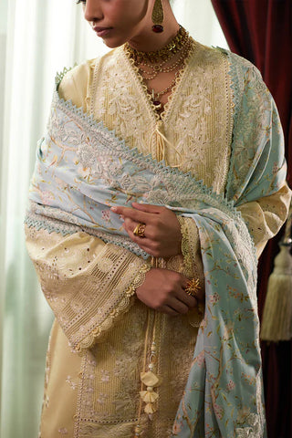 Saad Bin Shahzad - DANEEN