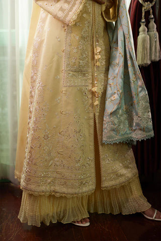 Saad Bin Shahzad - DANEEN