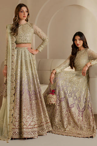 NXD-EMBROIDERED CHIFFON WF'25-01