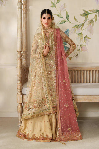 BAROQUE- EMBROIDERED NET CH14-02