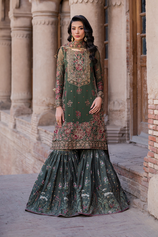 ILC-01 Embroidered Chiffon