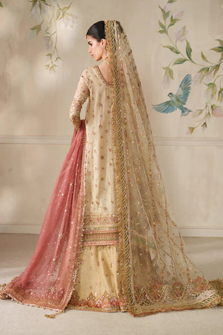 BAROQUE- EMBROIDERED NET CH14-02