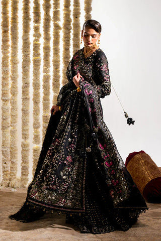Suffuse - ZABEEN