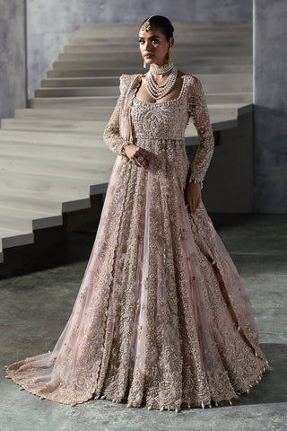 Sofia The Brides EDIT '24