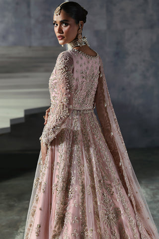 Sofia The Brides EDIT '24