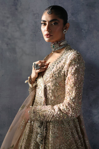 Emilia The Brides EDIT '24