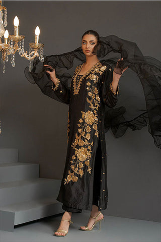 HOS - Ayesha 06