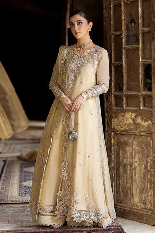 NXD-WC-07 HEELA