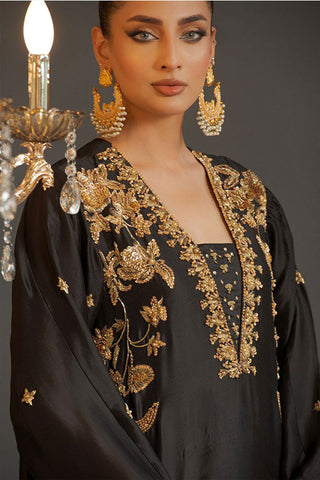 HOS - Ayesha 06