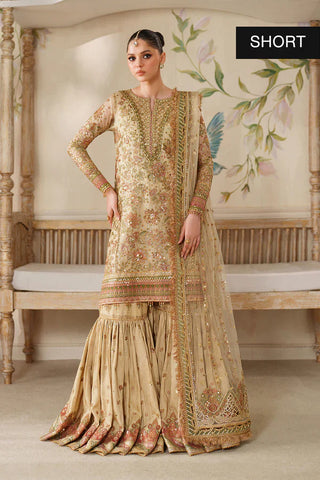 BAROQUE- EMBROIDERED NET CH14-02