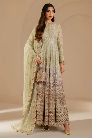 NXD-EMBROIDERED CHIFFON WF'25-01