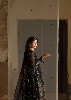 AFZ-Meera