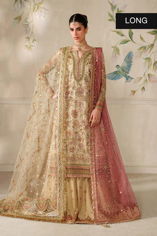 BAROQUE- EMBROIDERED NET CH14-02