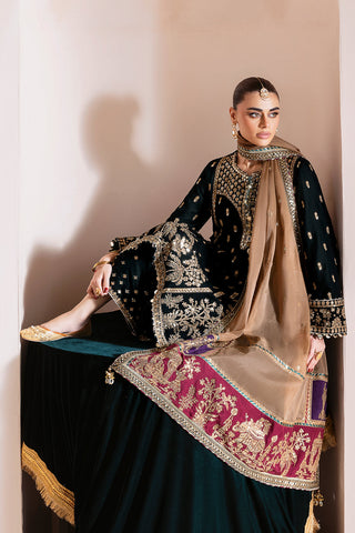 Nxd-JAZMIN - Embroidered Velvet Formal CVF D-01