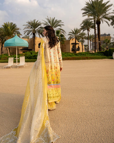 Faiza Saqlain- Arta