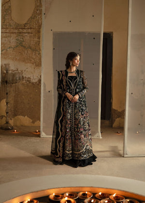 AFZ-Meera