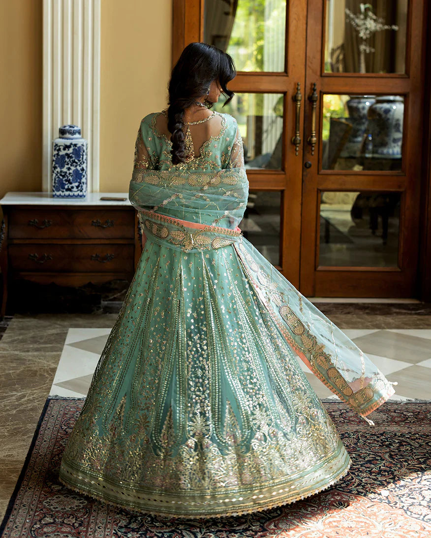 MUSHQ - Bindu