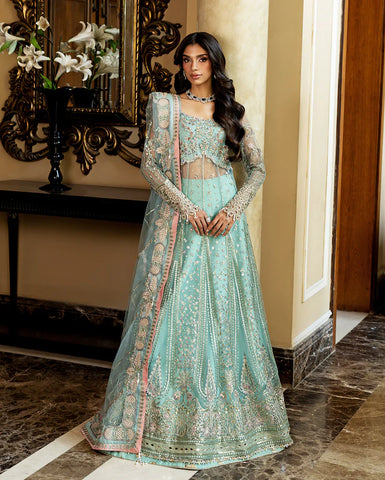 MUSHQ - Bindu