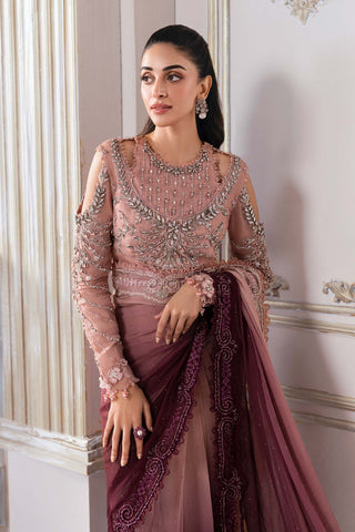 BD-3001 Ash Pink Ombre