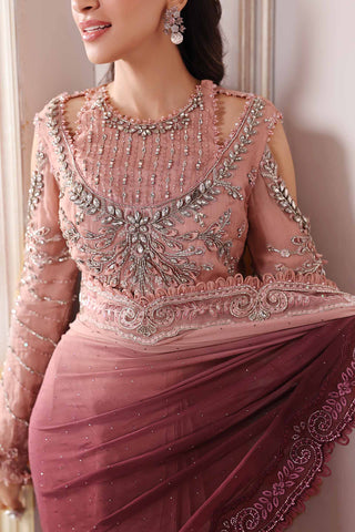 BD-3001 Ash Pink Ombre