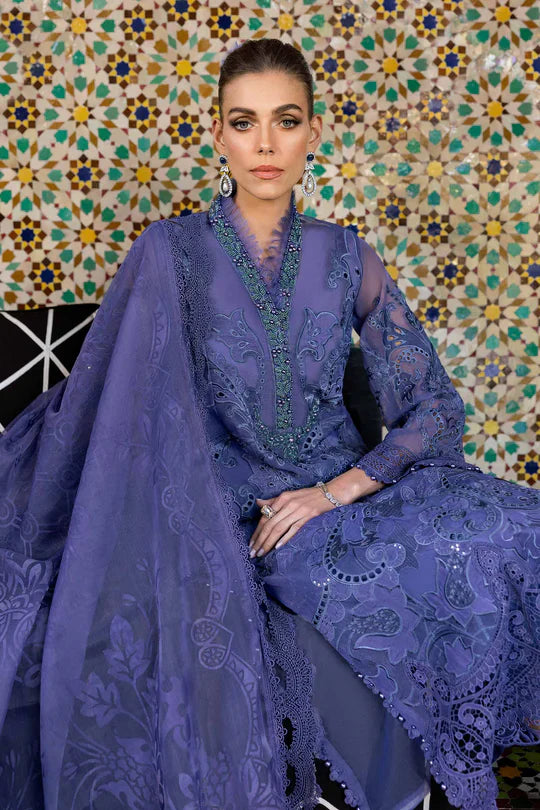 NXD-Embroidered Organza Suit | D-2506-B