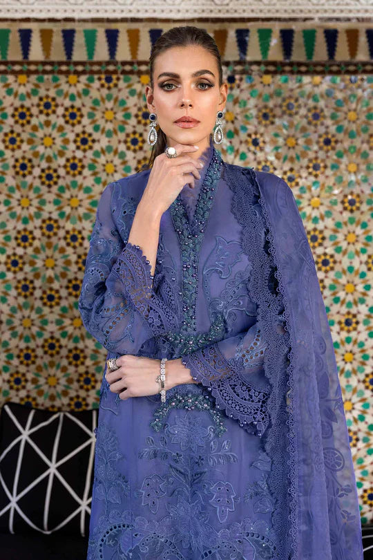 NXD-Embroidered Organza Suit | D-2506-B