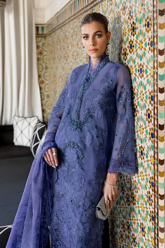 NXD-Embroidered Organza Suit | D-2506-B