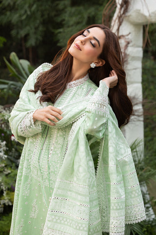 Design 7B Luxury Lawn 2025 L25-7B
