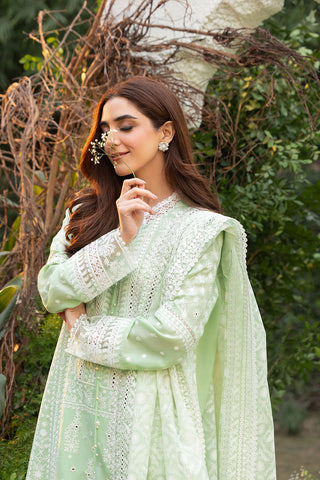 Design 7B Luxury Lawn 2025 L25-7B
