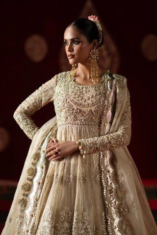 Saad Bin Shahzad - ASHFI