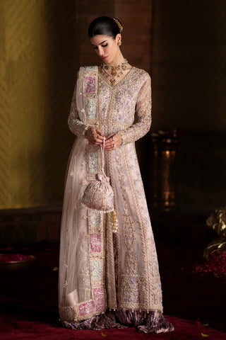 Saad Bin Shahzad - AYSEL