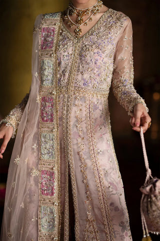 Saad Bin Shahzad - AYSEL