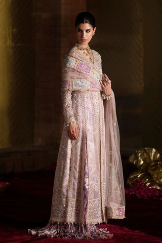 Saad Bin Shahzad - AYSEL