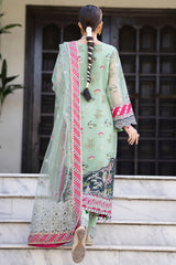 Zeenat Collection ZR-04