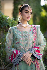 Zeenat Collection ZR-04