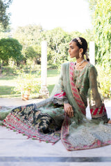 Zeenat Collection ZR-04