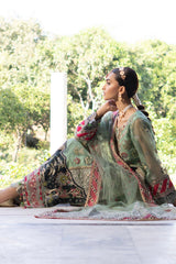 Zeenat Collection ZR-04