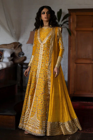 Saad Bin Shahzad - AMINA
