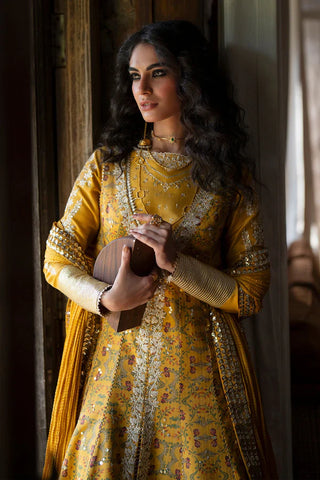 Saad Bin Shahzad - AMINA