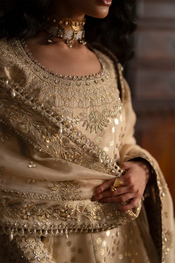 Saad Bin Shahzad - SAPHINA