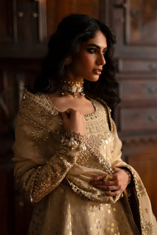 Saad Bin Shahzad - SAPHINA