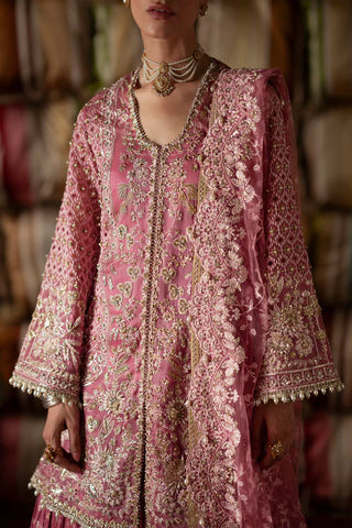 Saad Bin Shahzad - SELAH