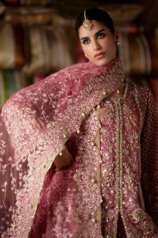 Saad Bin Shahzad - SELAH